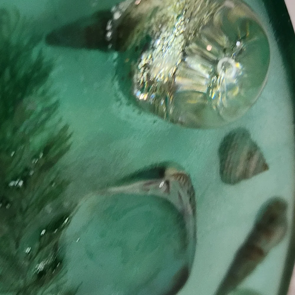 Vintage Lucite Acrylic Trivet Under Water Blue Starfish Nautical Hotplate Beach